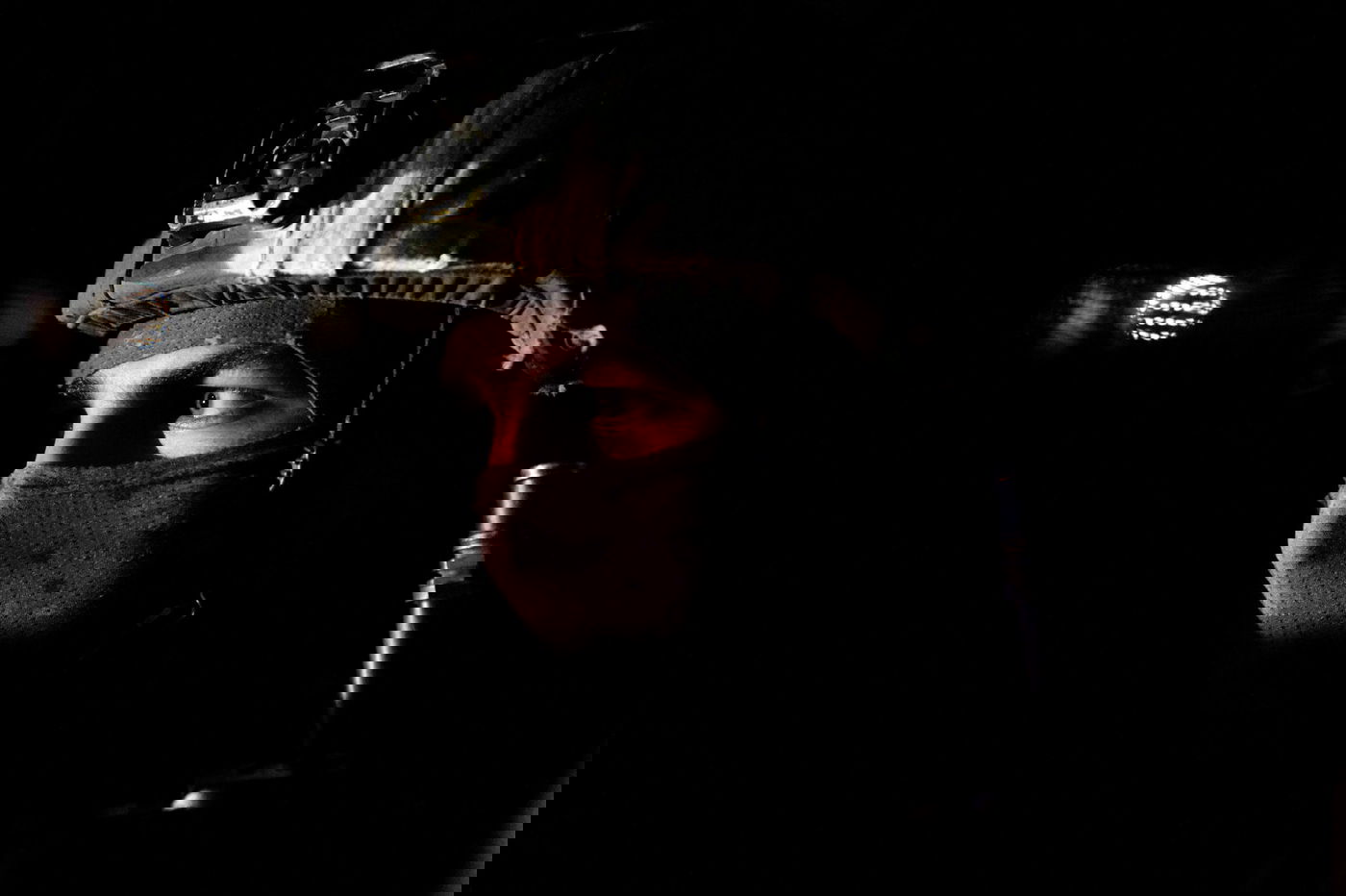 כוח מיוחד עצר הלילה שני בכירים ב'גוב האריות' | תיעוד