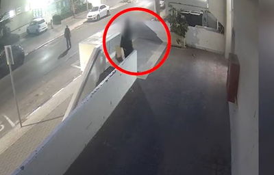 החשוד בפעולה