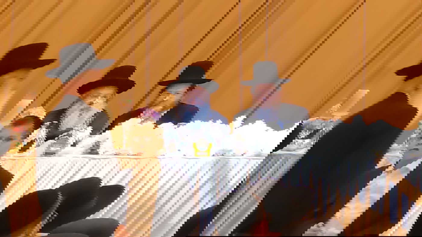 זופניק בכיכר • כל התמונות והנייעס של השבוע