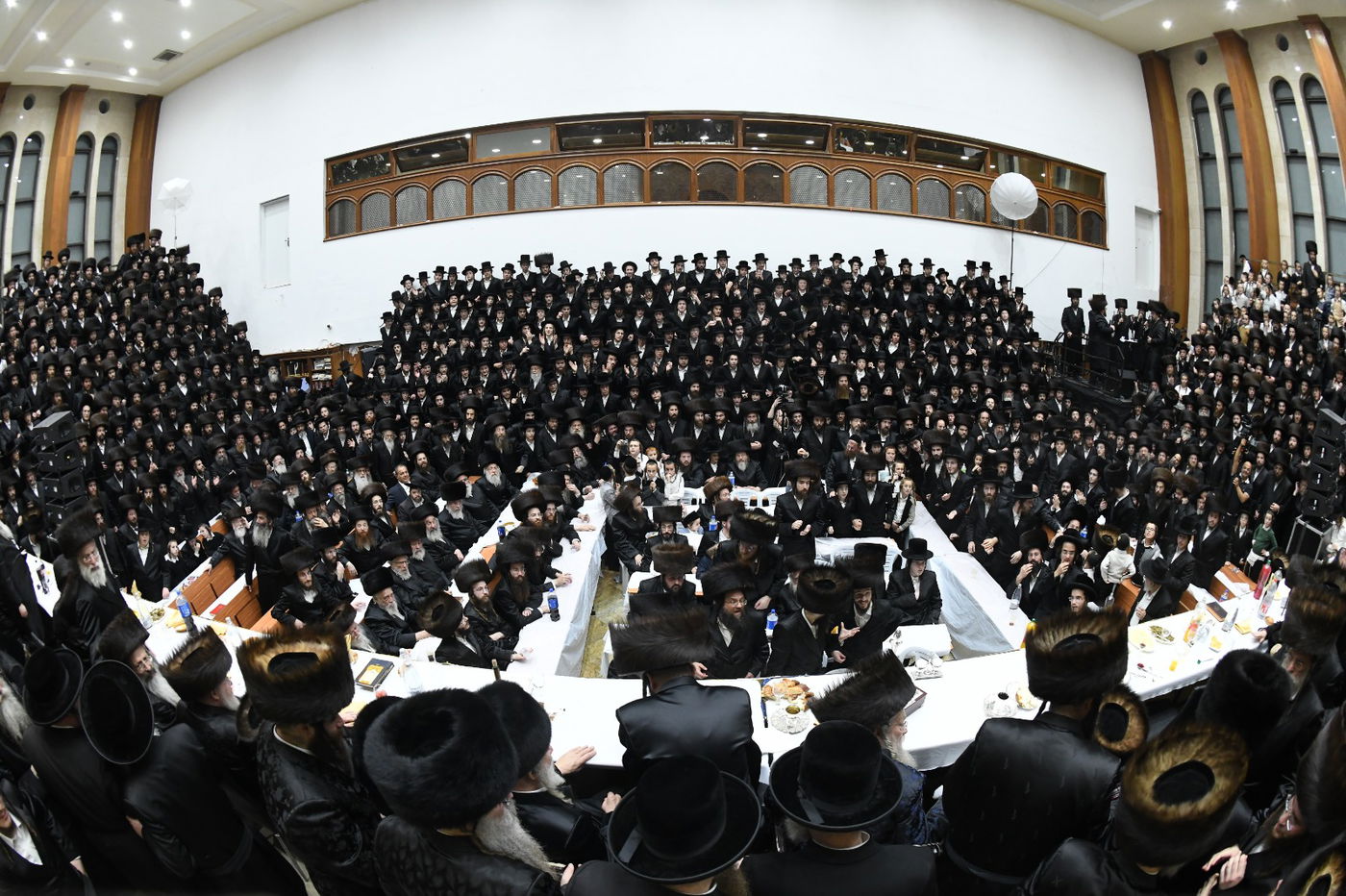 תיעוד: שמחת החתונה בחצרות ביאלא - אשלג - קאמרנא