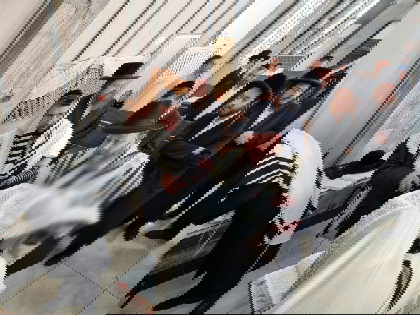 זופניק בכיכר • כל התמונות והנייעס של השבוע והבחירות