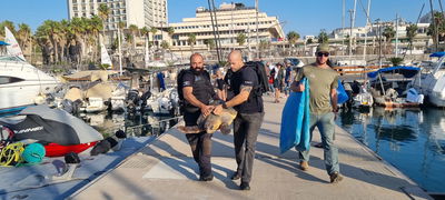 השוטרים השיבו את צבת הים שנפצעה אל הים
