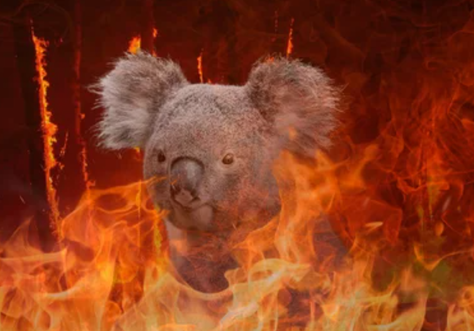 מחר זה קורה: נציגי 194 מדינות יגיעו למצרים לדון בהתחממות