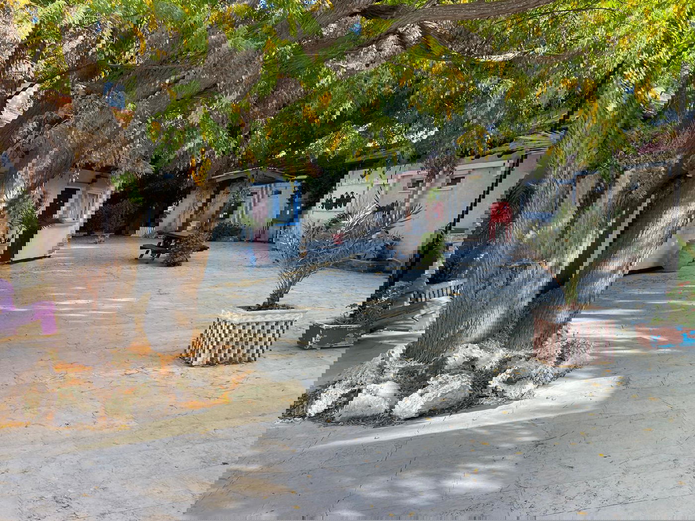 ישיבת ההסדר החרדית הראשונה בישראל