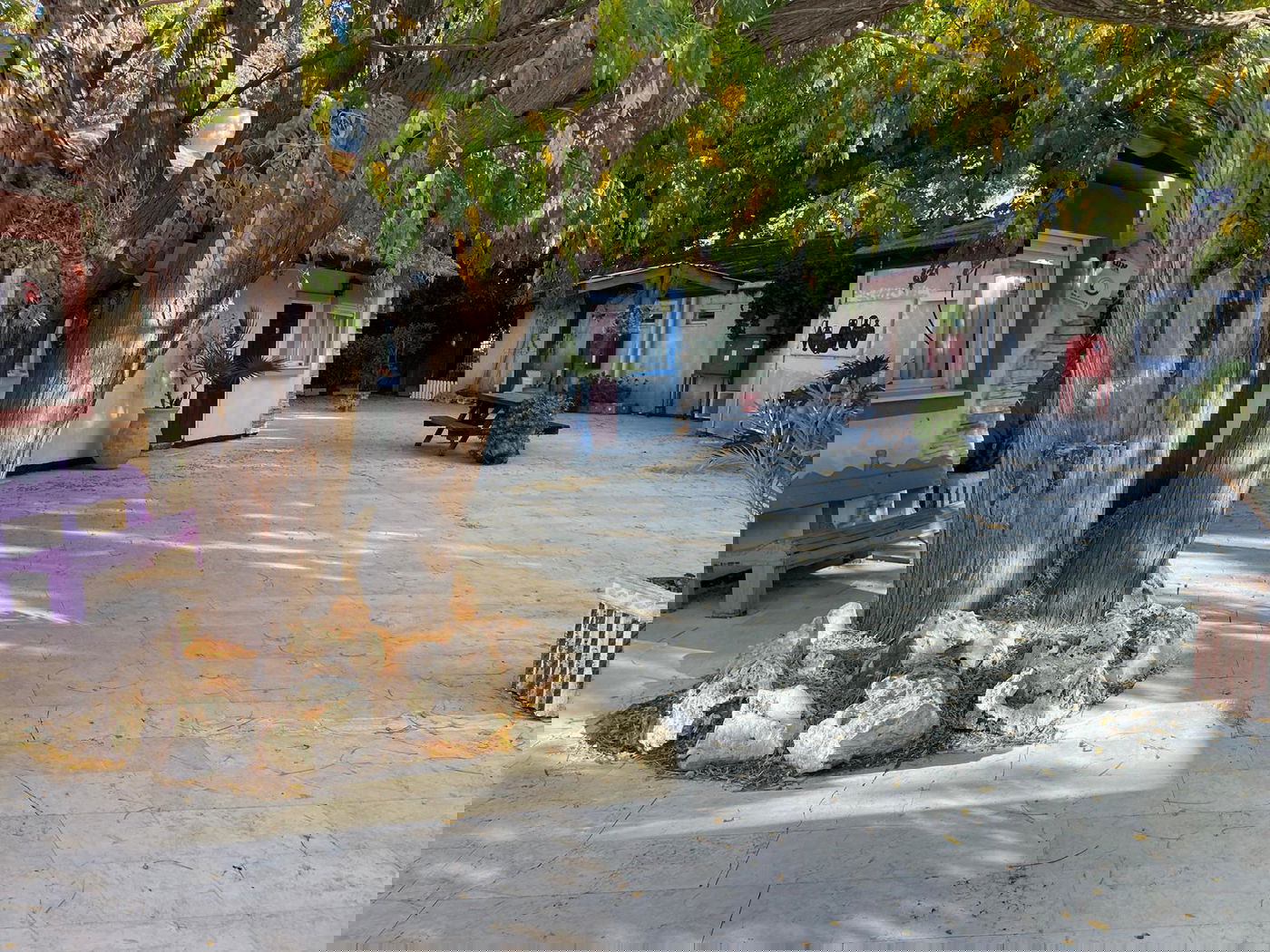 ישיבת ההסדר החרדית הראשונה בישראל