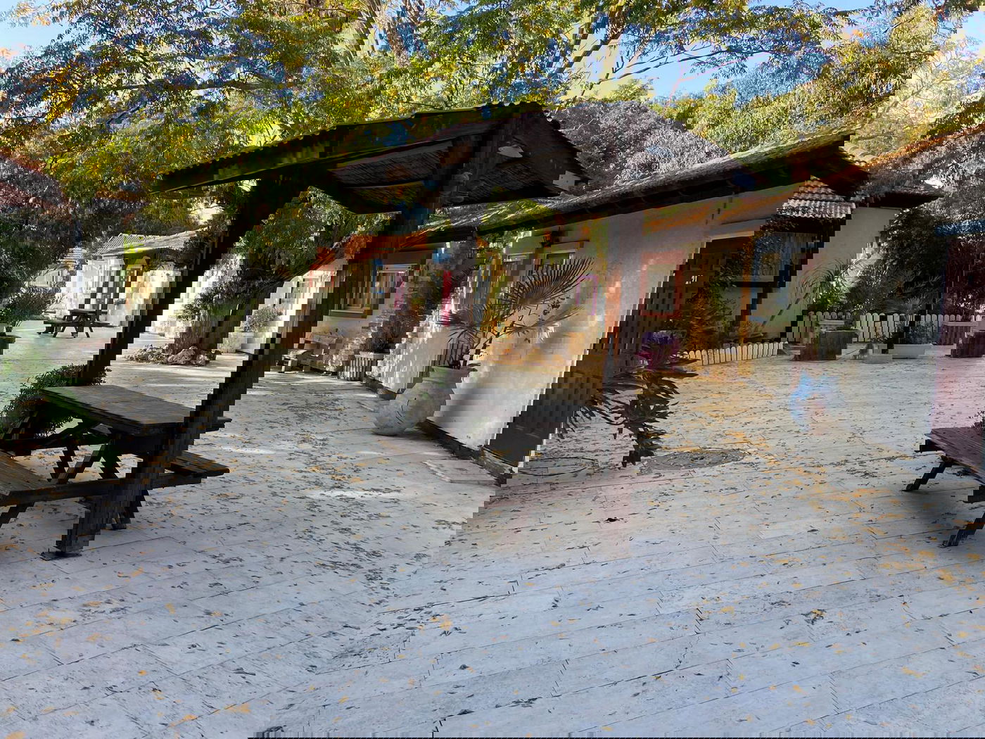 ישיבת ההסדר החרדית הראשונה בישראל