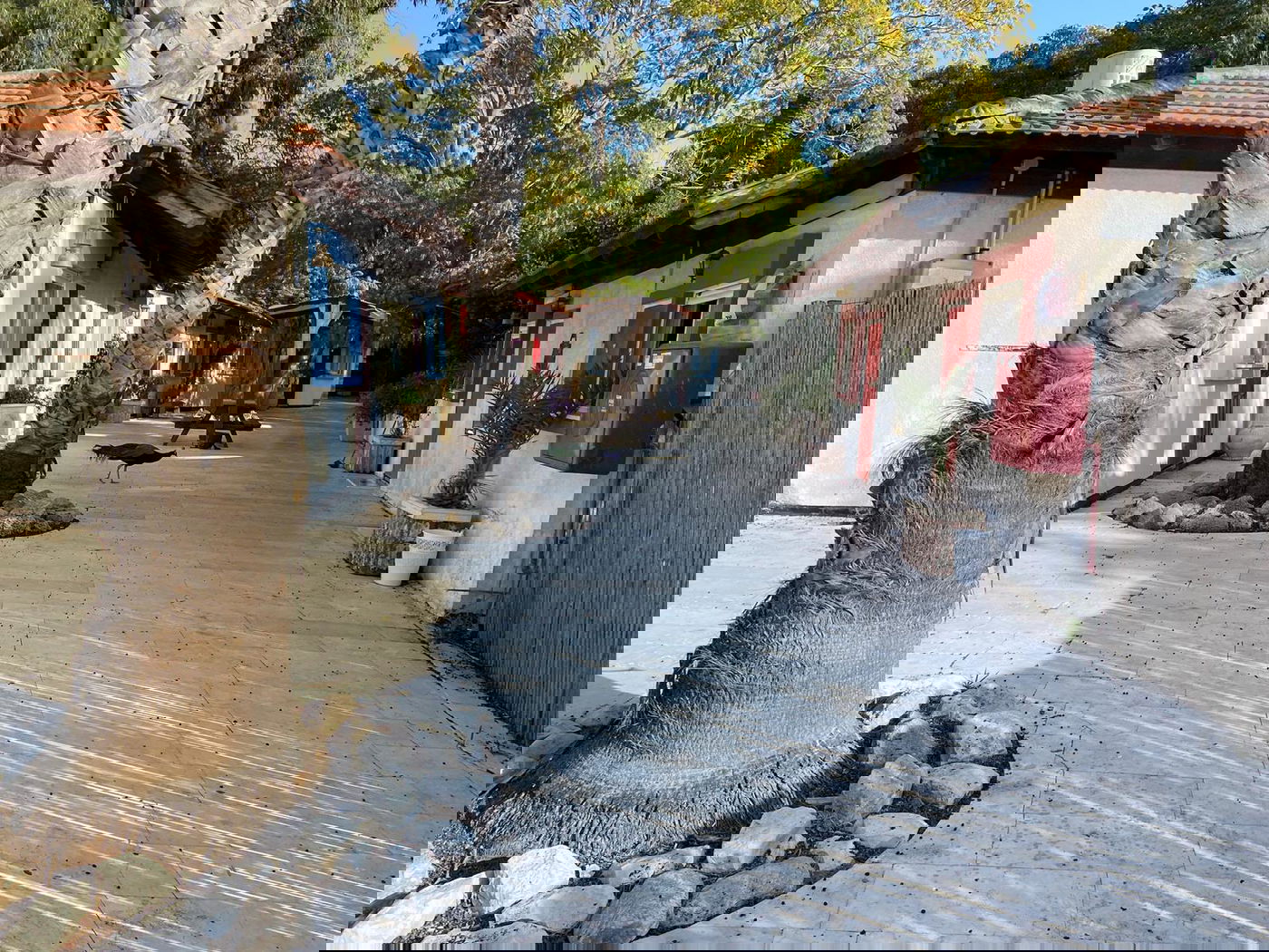 ישיבת ההסדר החרדית הראשונה בישראל