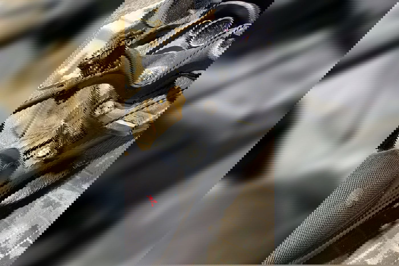 הקטנוע שנגנב