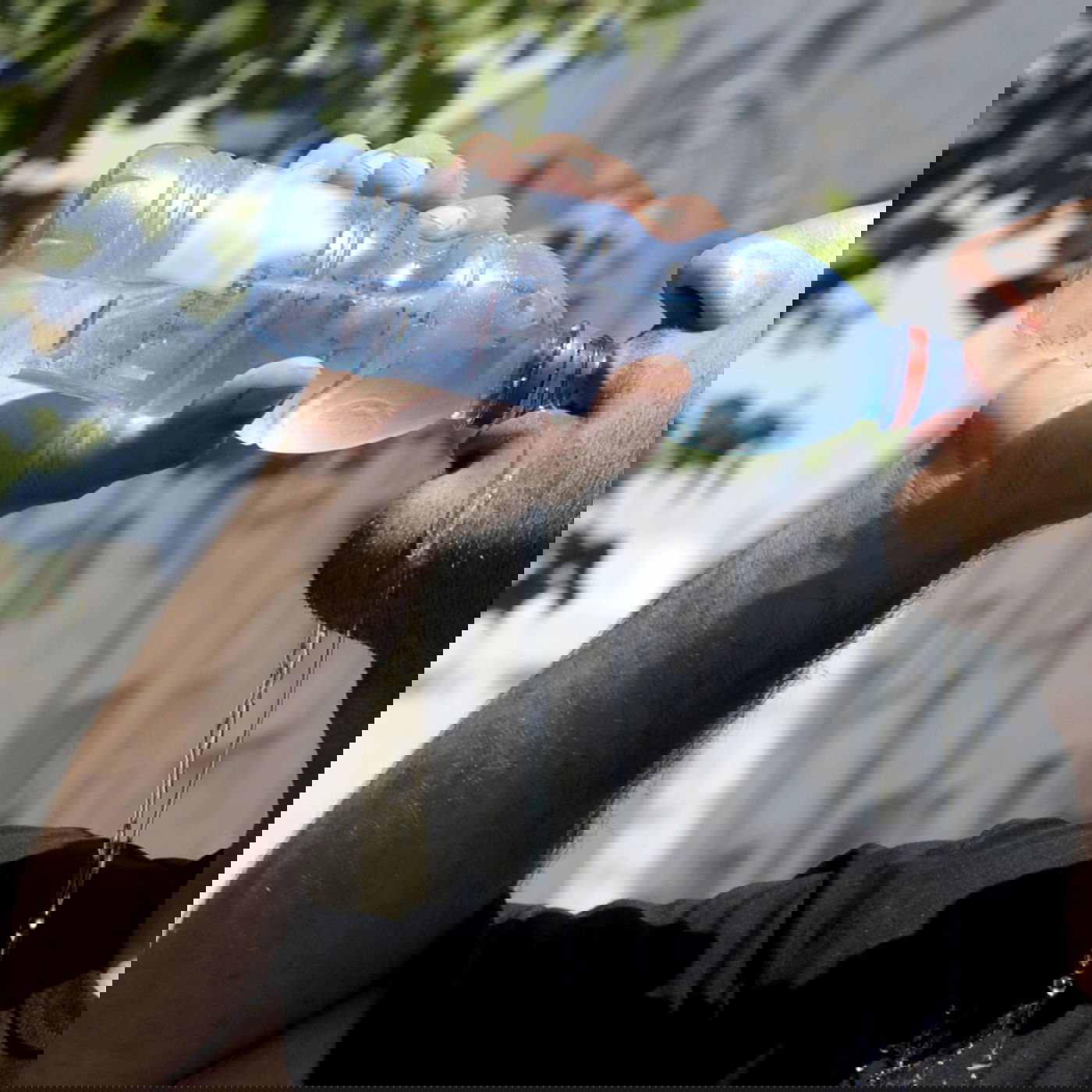 גם אם זה בחינם: 10 סיבות להימנע משתיה מתוקה