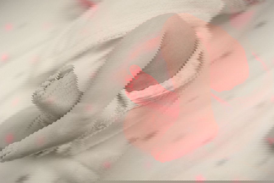 אילוסטרציה