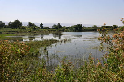 מסוריה לישראל: חיידק כולרה התגלה במקור מים בצפון