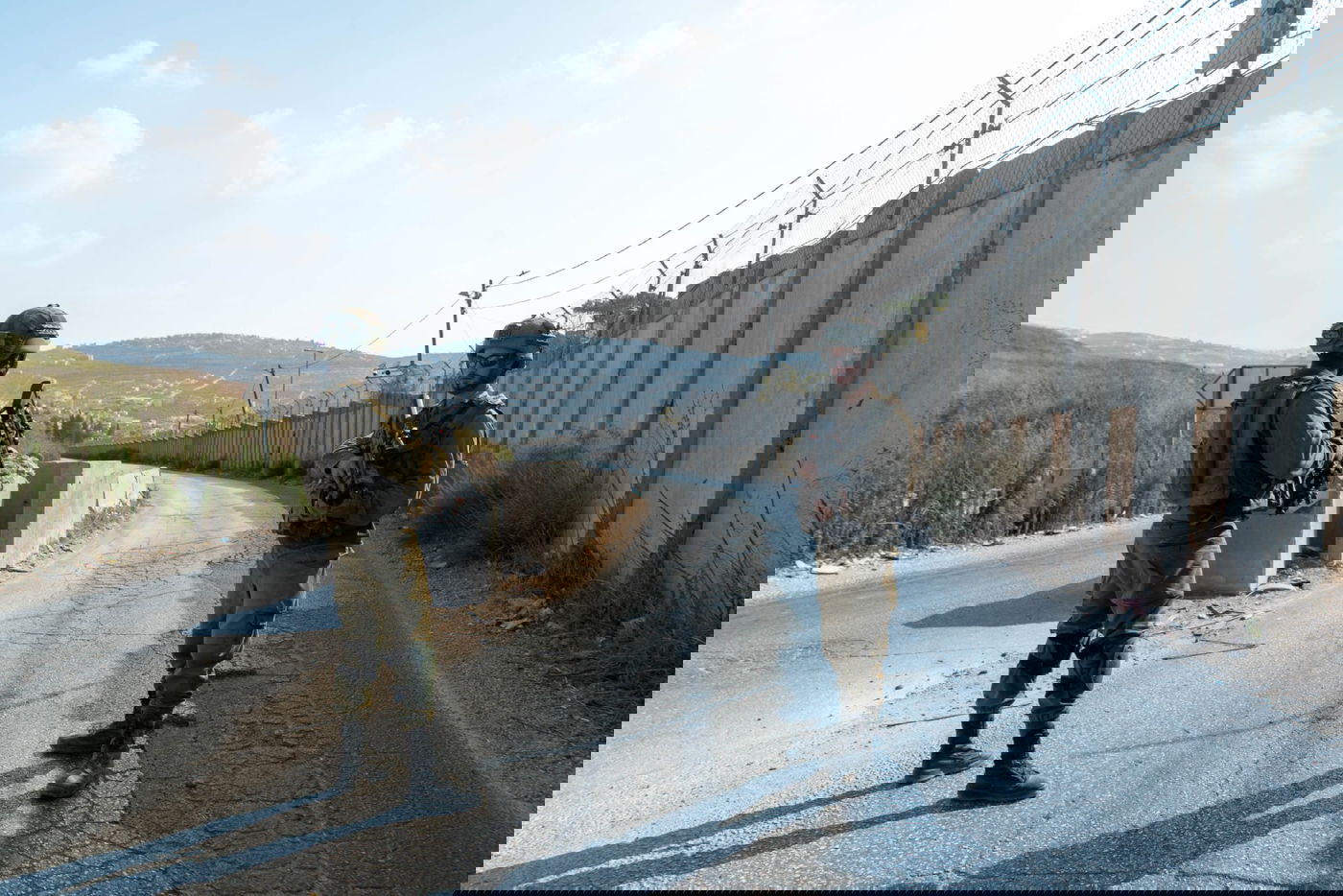 מקבלי האות: עלות השחר, שובר גלים ו'פעולות עלומות'