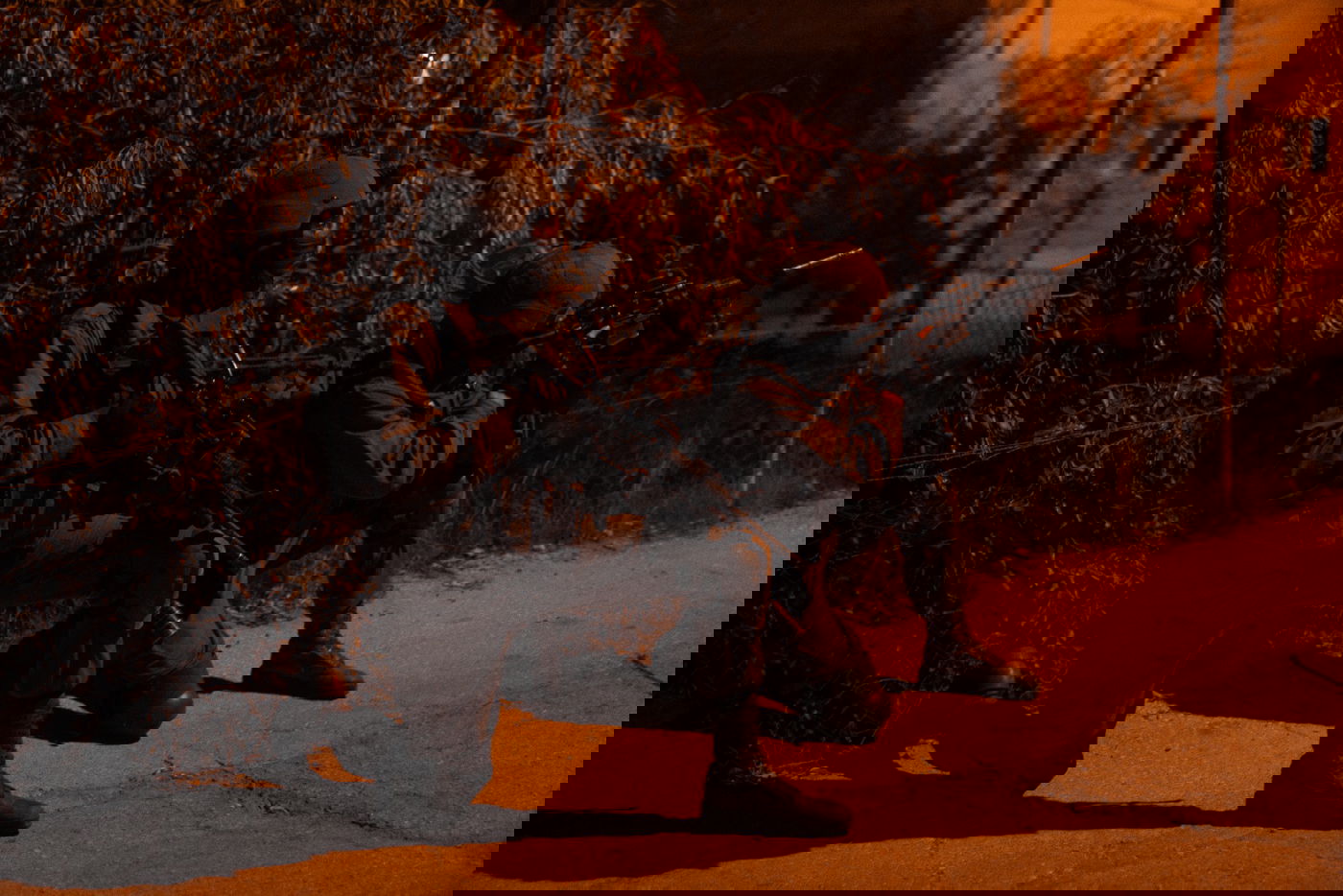 תיעוד לילי:  לוחמי צה"ל ושב"כ במעצר מבוקשים ביו"ש