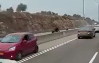 המחבל גונב רכב, גורם לתאונה בה נהרג יהודי ונמלט | צפו