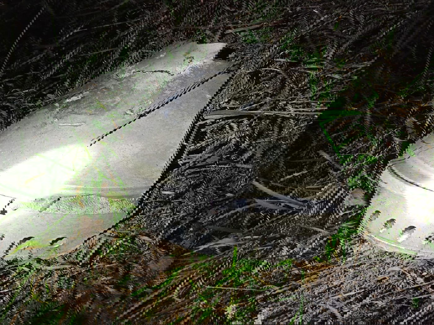 שברי הטיל הרוסי שנחתו בפולין