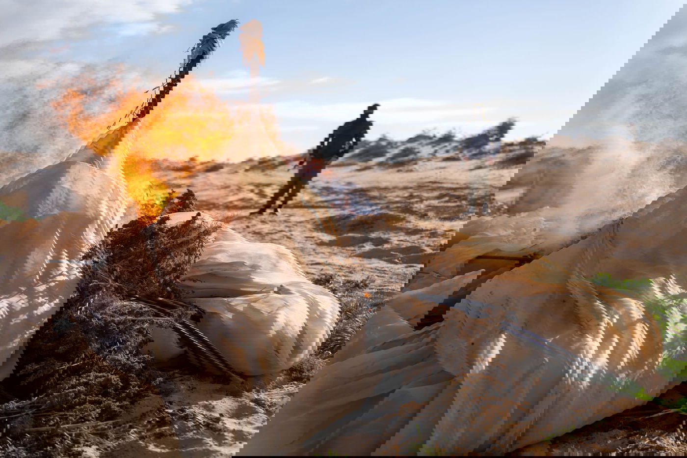 צה"ל השמיד מאות חממות לגידול סמים באזור הדרום