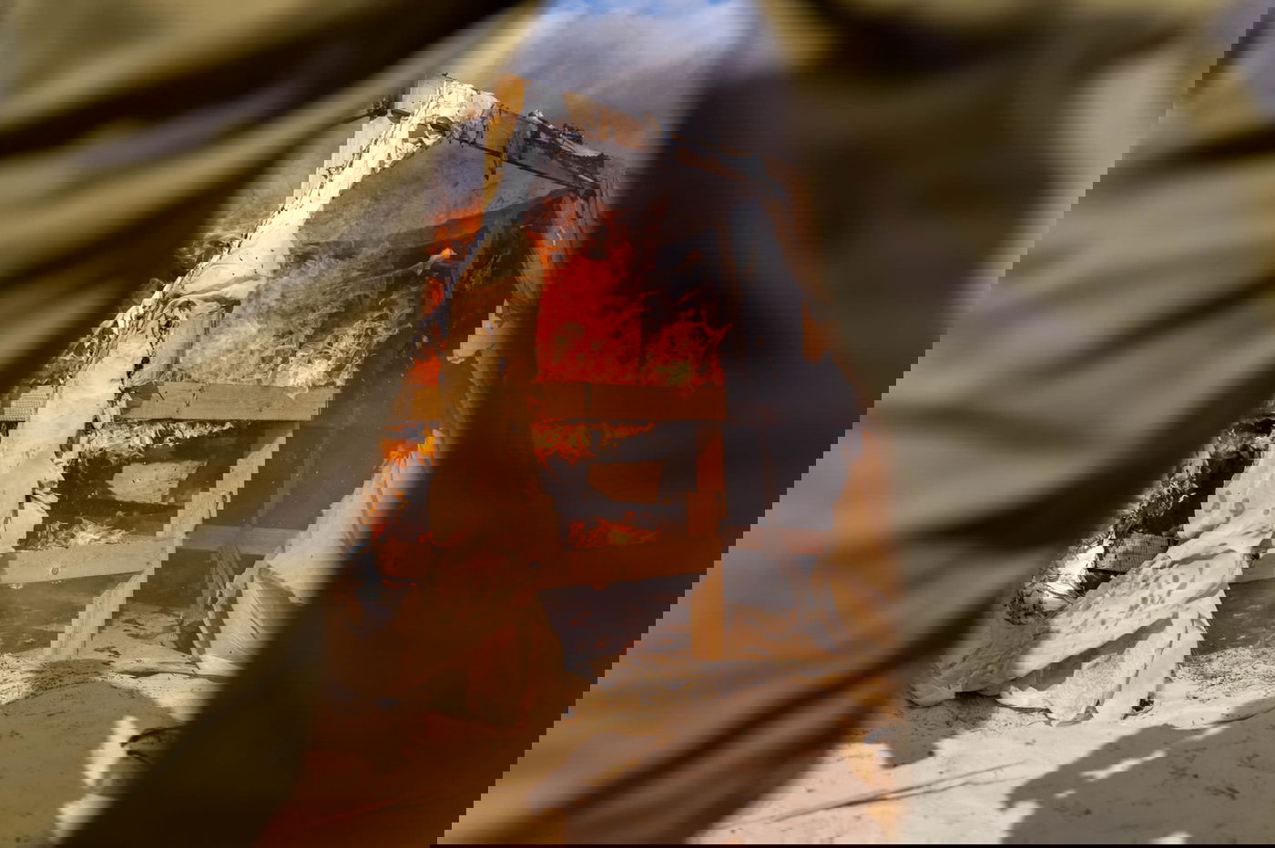 צה"ל השמיד מאות חממות לגידול סמים באזור הדרום