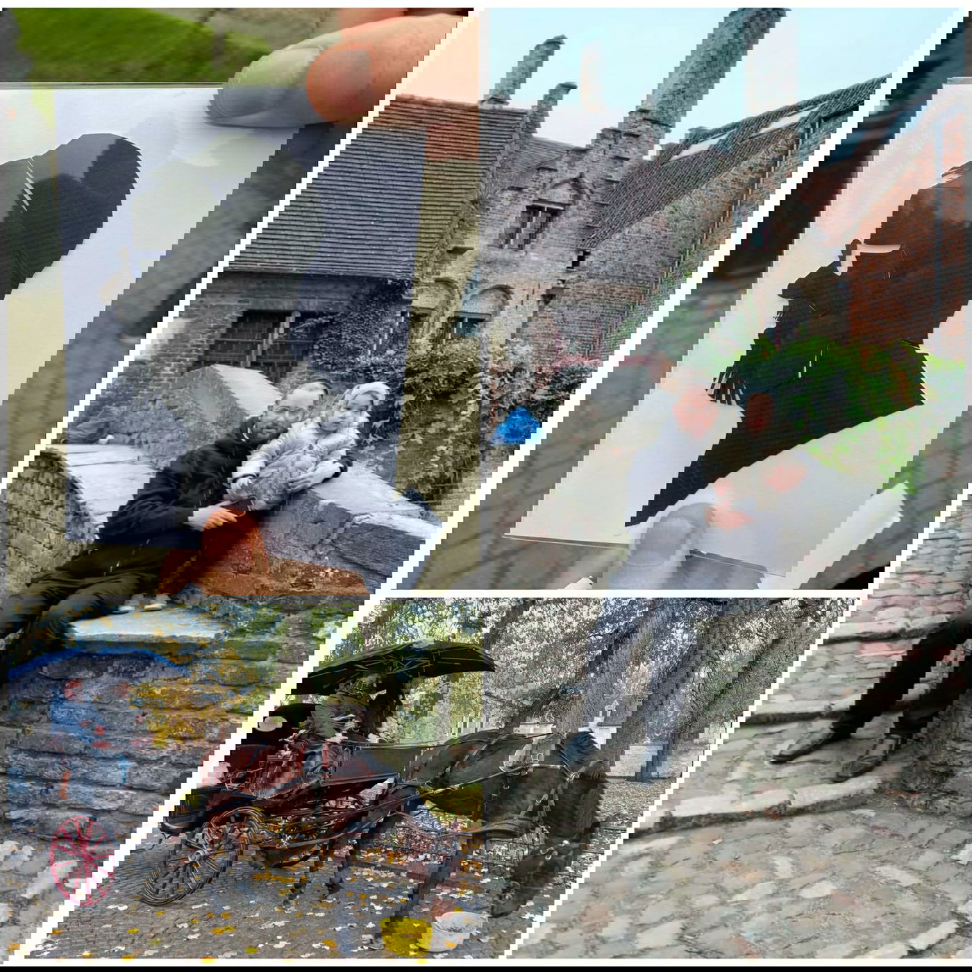 זופניק בכיכר • כל התמונות והנייעס של השבוע והכנסת