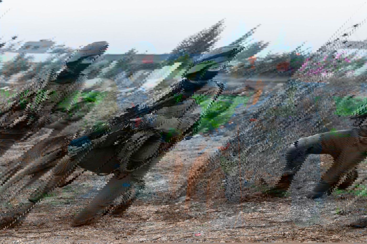 תוך כדי ירי: הלוחמים עצרו 13 מבוקשים ביו"ש | תיעוד