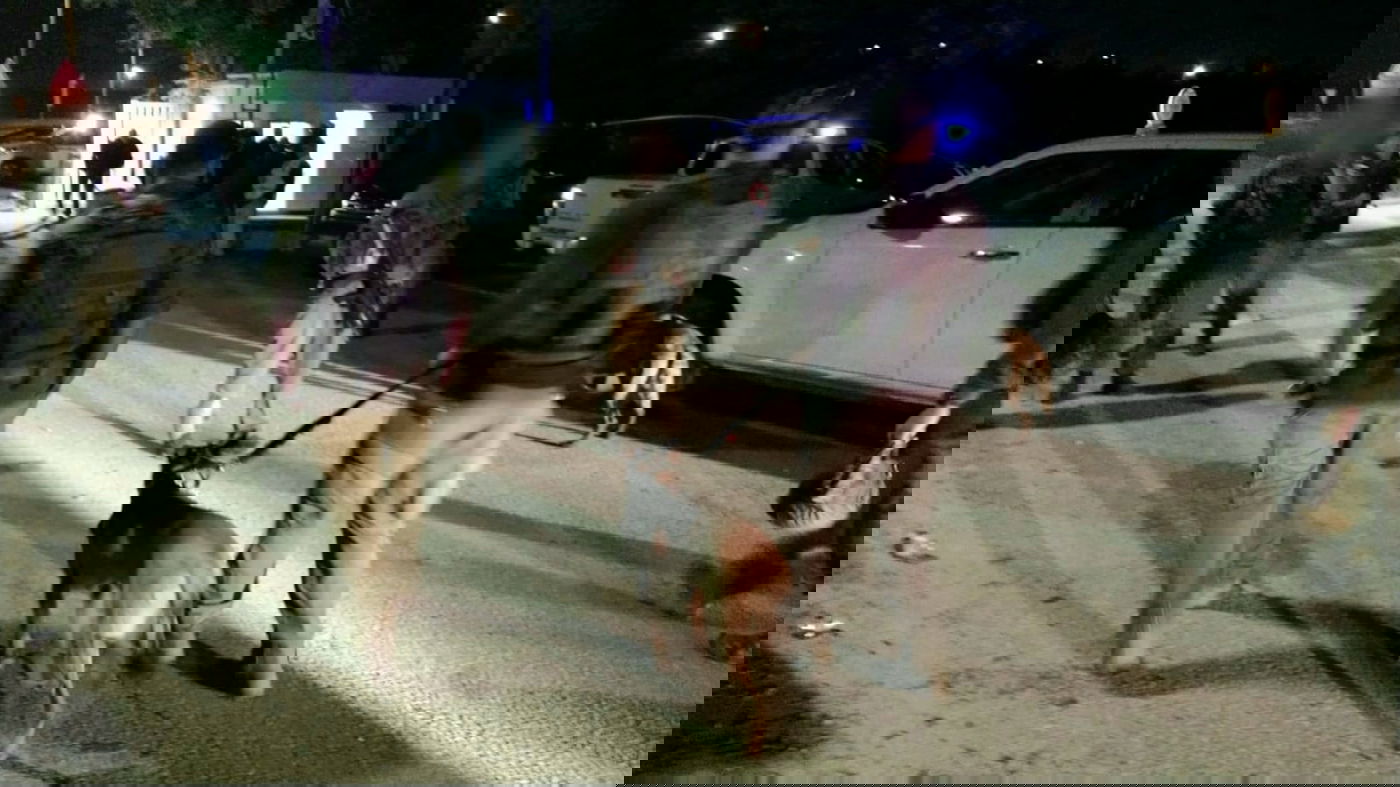 חשודים חצו את גדר המערכת, כוח צה"ל לכד אחד מהם