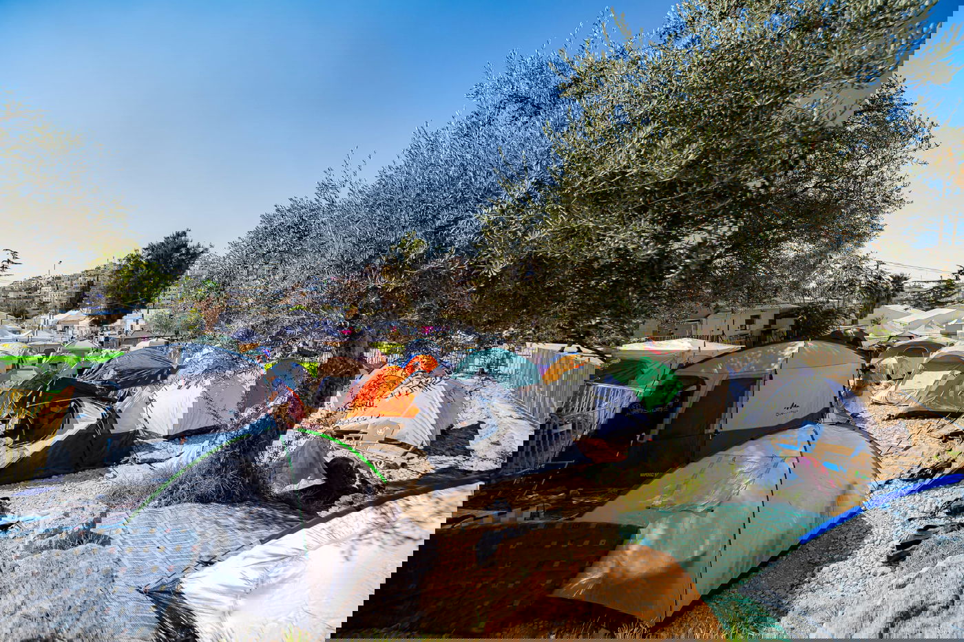 שבת חברון: האלפים זורמים לעיר לשהות במערת המכפלה