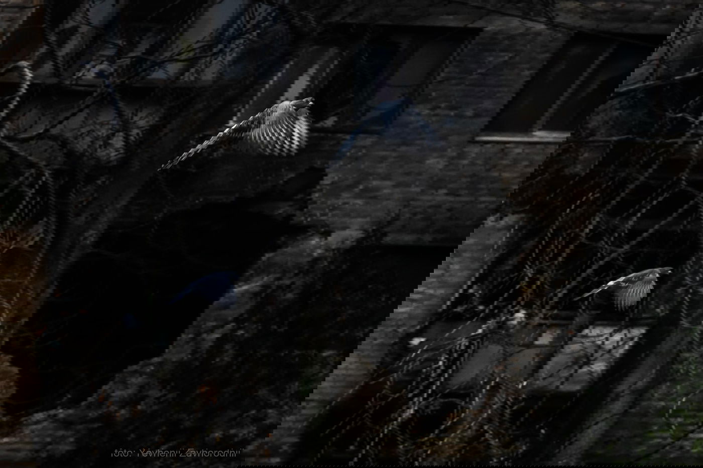 עינויים של מבוגרים וילדים ומאות גופות: הזוועות מאיזור חרסון נחשפות | רוסיה במתקפה נרחבת על הדונבאס