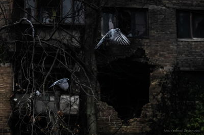 עינויים של מבוגרים וילדים ומאות גופות: הזוועות מאיזור חרסון נחשפות | רוסיה במתקפה נרחבת על הדונבאס