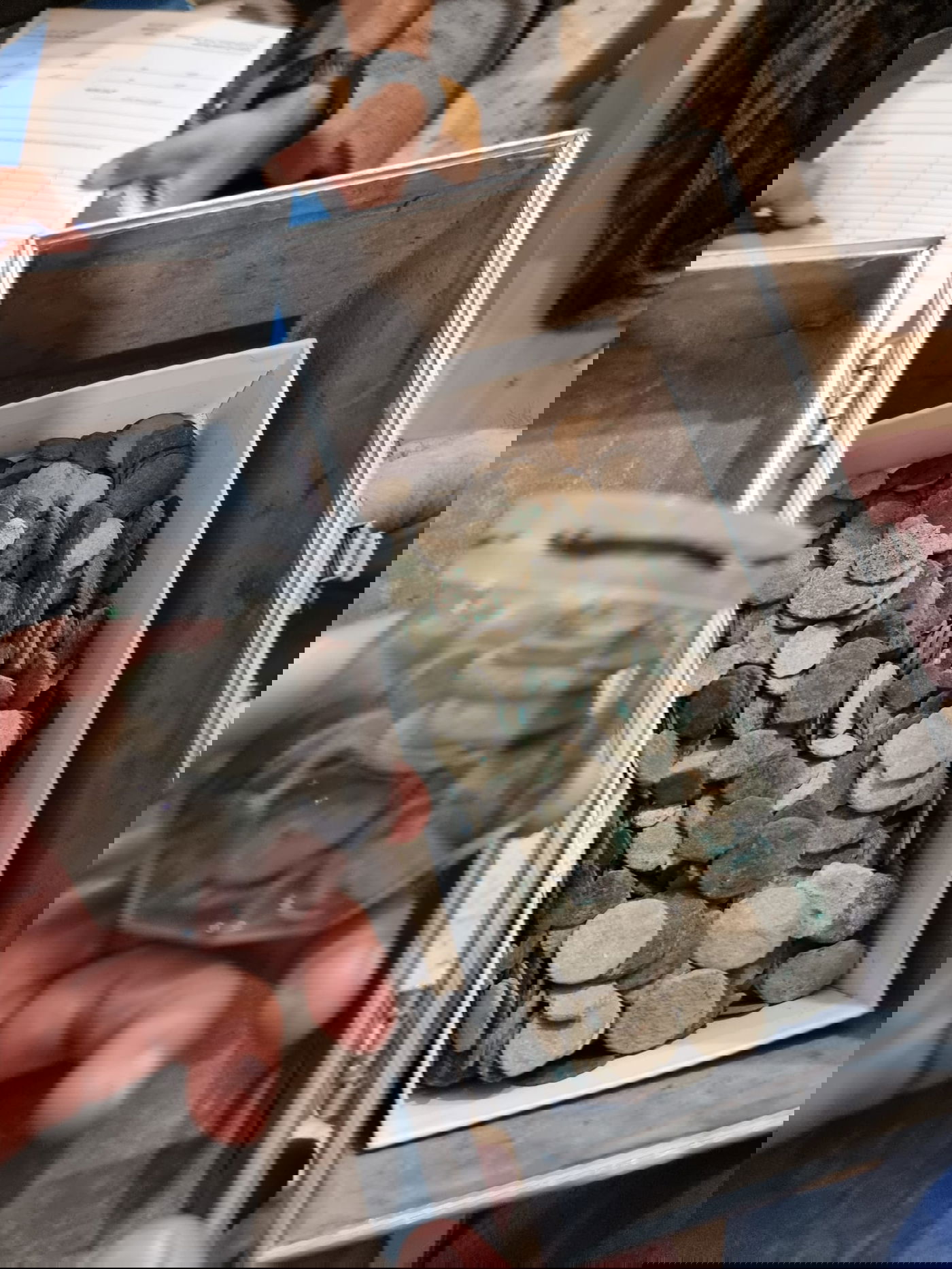 נתפס כשהוא מחפש עתיקות וברשותו מטבעות עתיקים