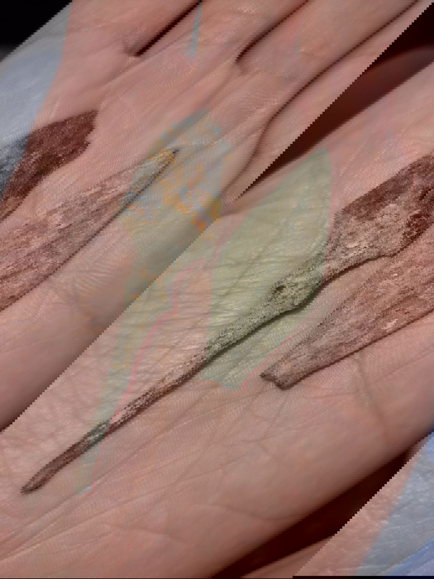 נתפס כשהוא מחפש עתיקות וברשותו מטבעות עתיקים