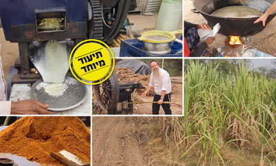 מפתיע: זה מה שעושים מ'קני סוכר' בהודו • צפו