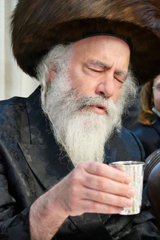 תיעוד חגיגי: 'שבע ברכות' בחצרות אמשינוב וקרעטשניף