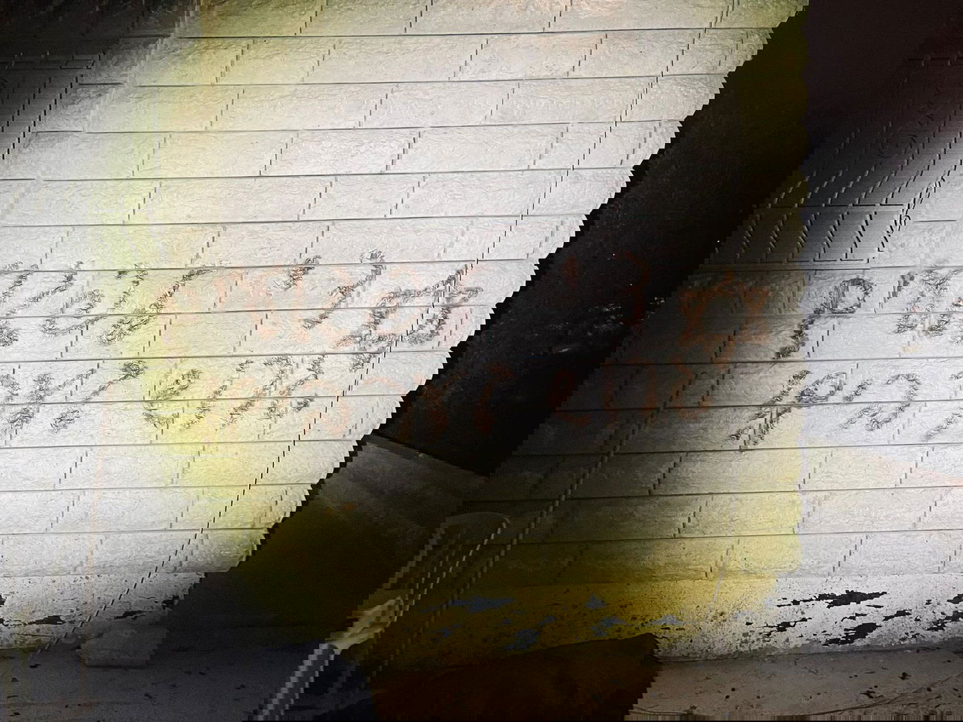 חמישה רכבים הוצתו הלילה ביישובים ערבים סמוך לירושלים