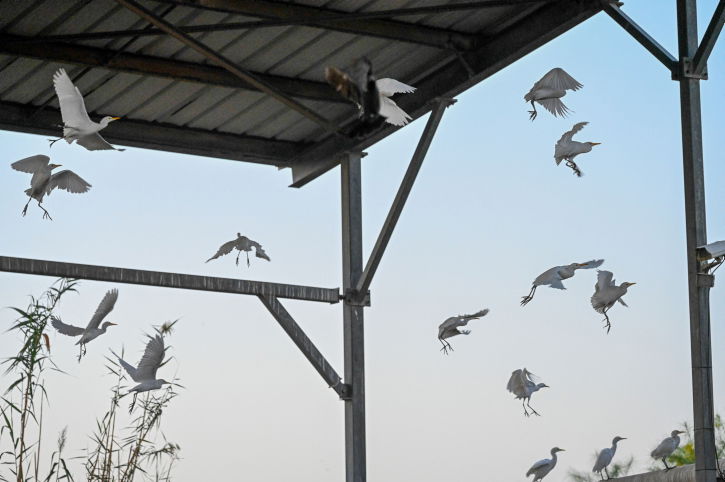 התחזית: סוף השבוע יהיה גשום וקר מהרגיל לעונה