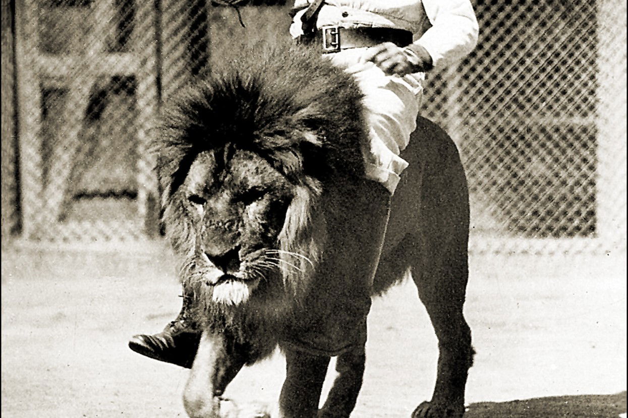 רכיבה על אריה