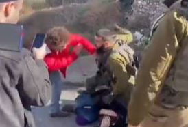 מכים פעילי שמאל