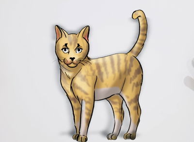 תעסוקה לילדים: בואו ללמוד לצייר 'חתול' בקלות ובהנאה