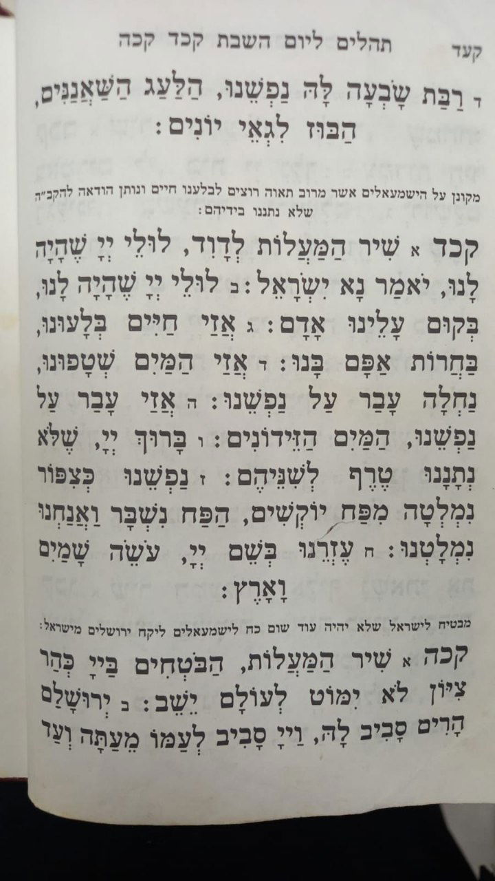 שערי צדק: שוחרר המאושפז האחרון מהפיגוע בכניסה לירושלים