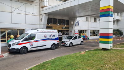 מאמצי החייאה