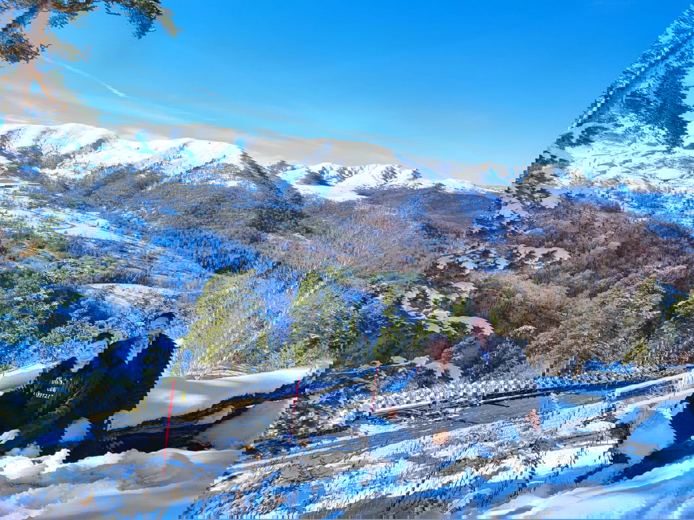 זופניק בכיכר • כל התמונות והנייעס של השבוע