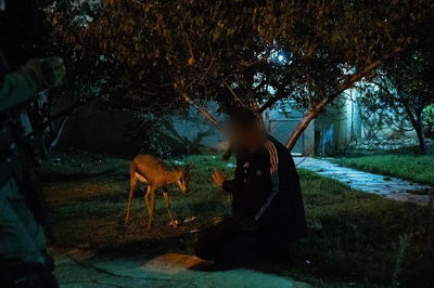 פלסטיני חשוד בציד לא-חוקי נתפס עם חיות בר מוגנות