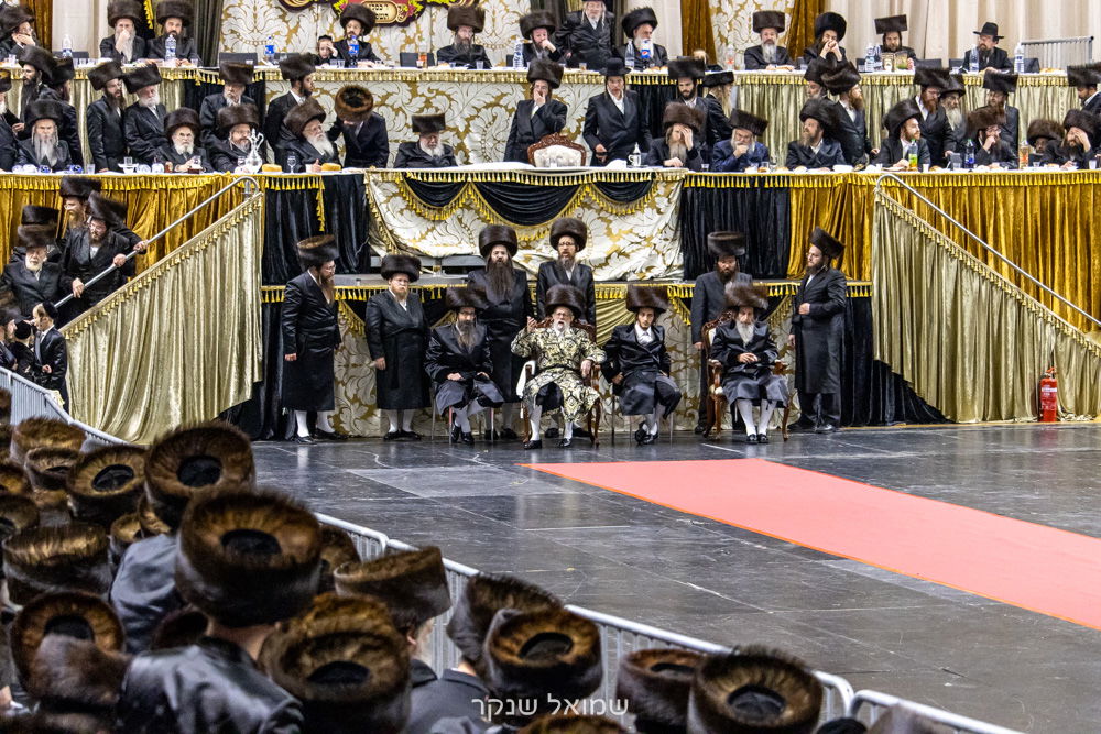 אלפים על הפארנצע'ס • שמחת חתונת סערט ויז'ניץ, ויז'ניץ ואונגוואר