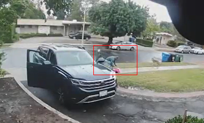 קשה לצפיה: זאב ערבות תוקף ילדה ישראלית בלוס אנג'לס