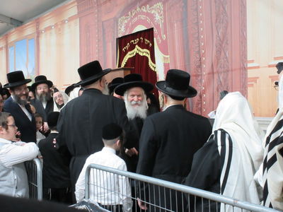 האדמו"ר מבאבוב