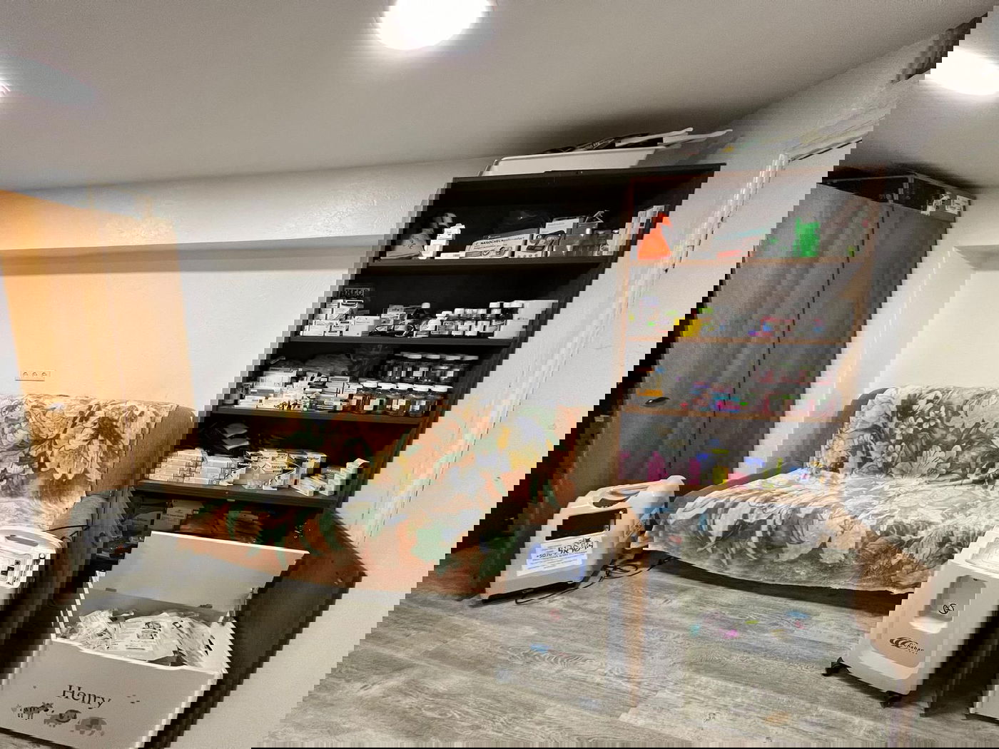 רב המדינה הענייה באירופה: "אנחנו לפני קריסה, לא נשרוד בקור בלי חשמל"