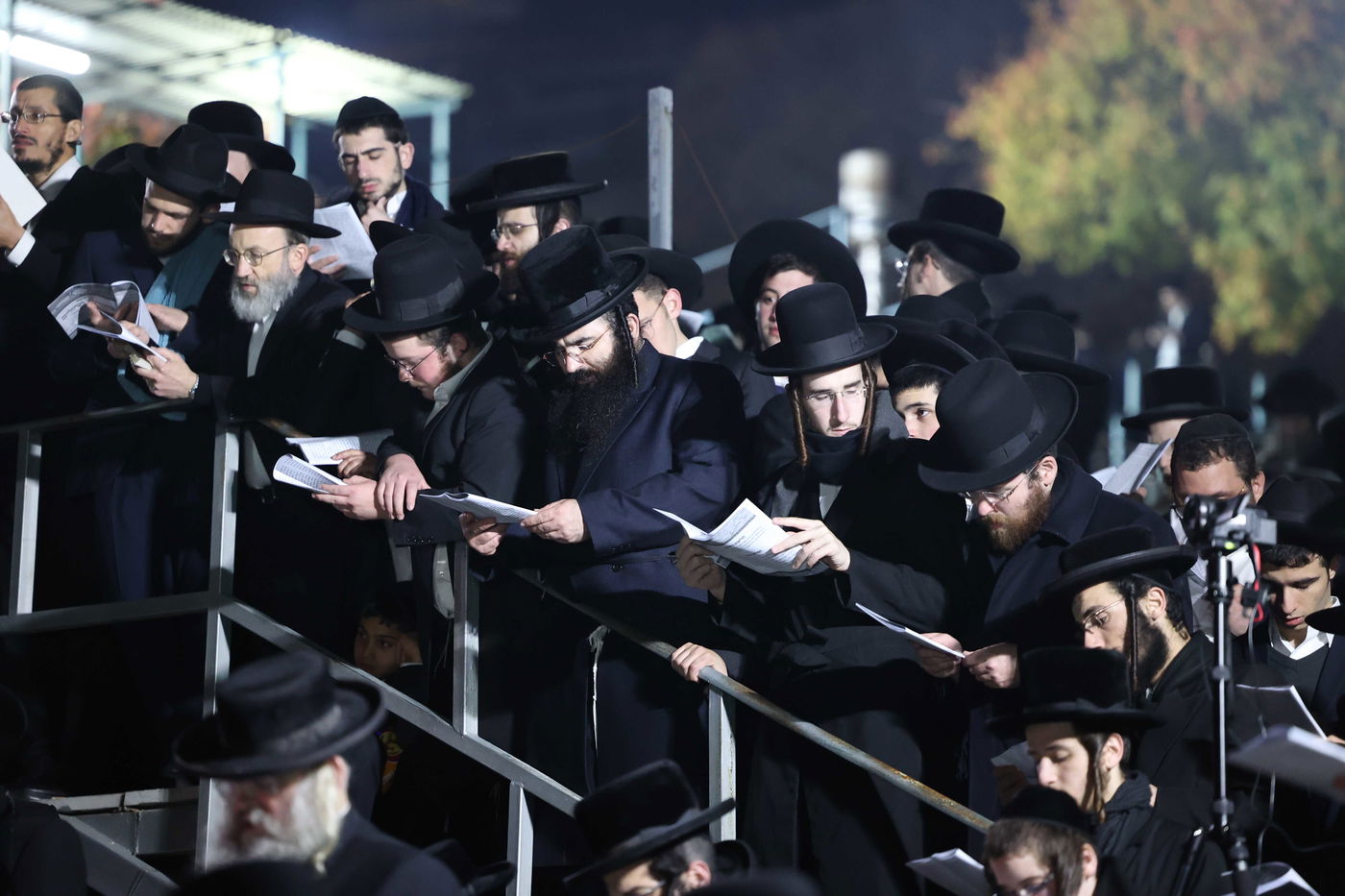 גלריה: המונים בהילולת ה'בת עין' זיע"א בצפת