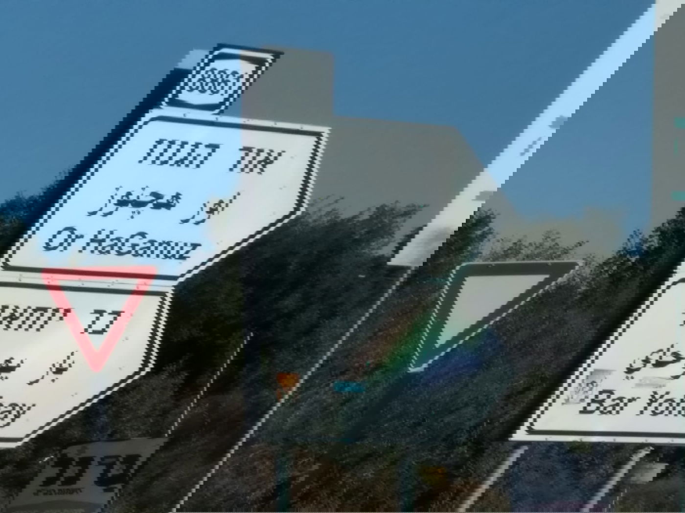 סיפורו של היישוב החרדי 'אור הגנוז' - שלא הכרתם | הצצה נדירה