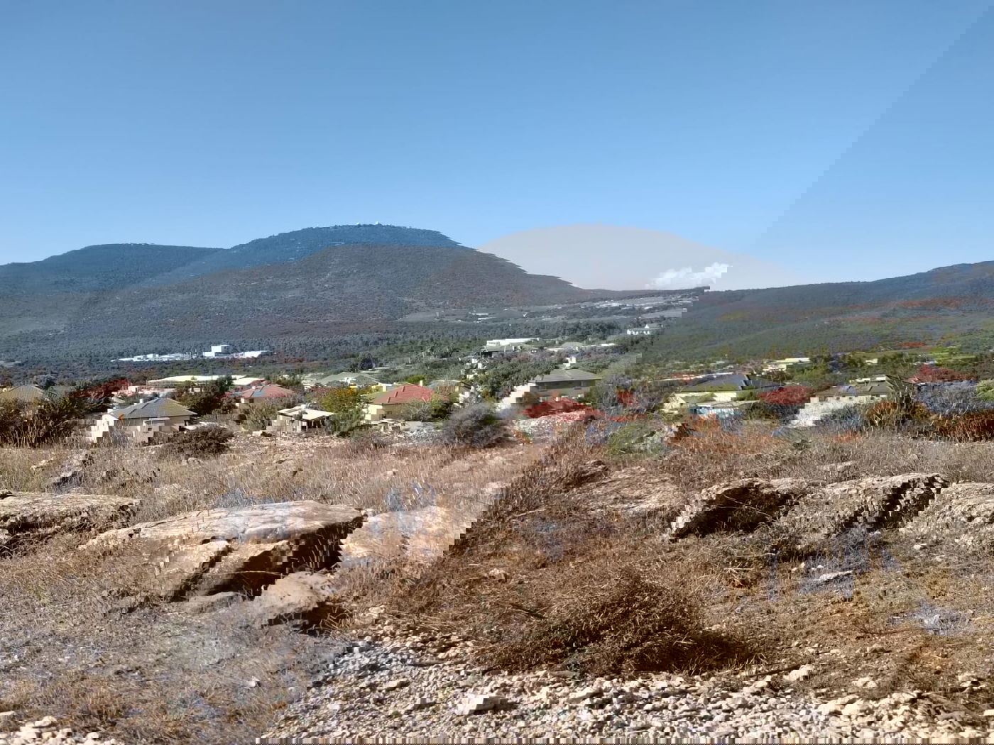 סיפורו של היישוב החרדי 'אור הגנוז' - שלא הכרתם | הצצה נדירה