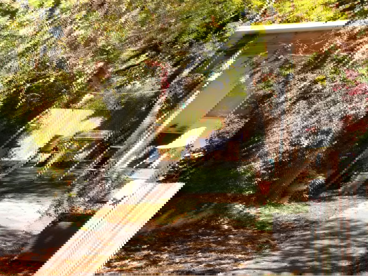 סיפורו של היישוב החרדי 'אור הגנוז' - שלא הכרתם | הצצה נדירה