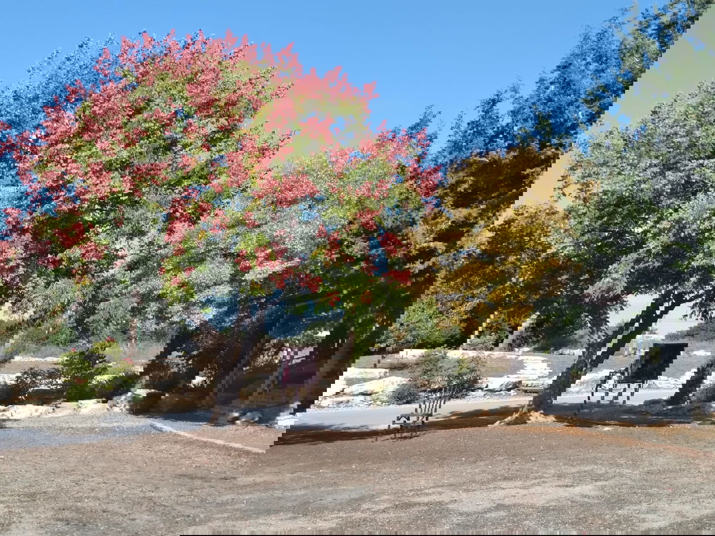 סיפורו של היישוב החרדי 'אור הגנוז' - שלא הכרתם | הצצה נדירה