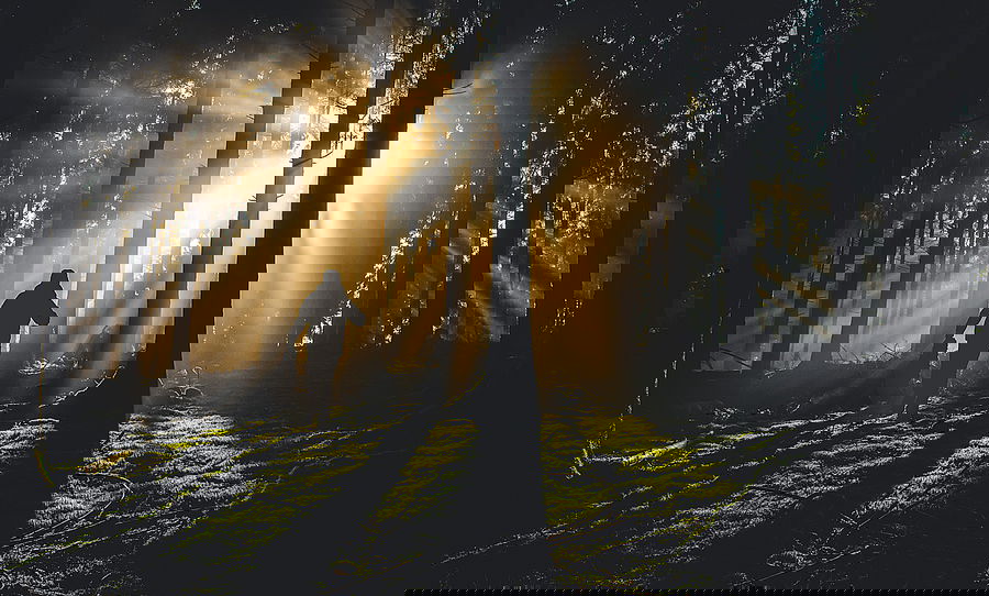 אילוסטרציה